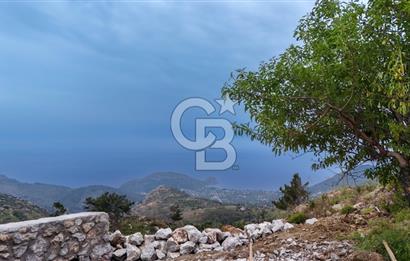 Datça Mesudiyede Satılık 381 m2 Tarla