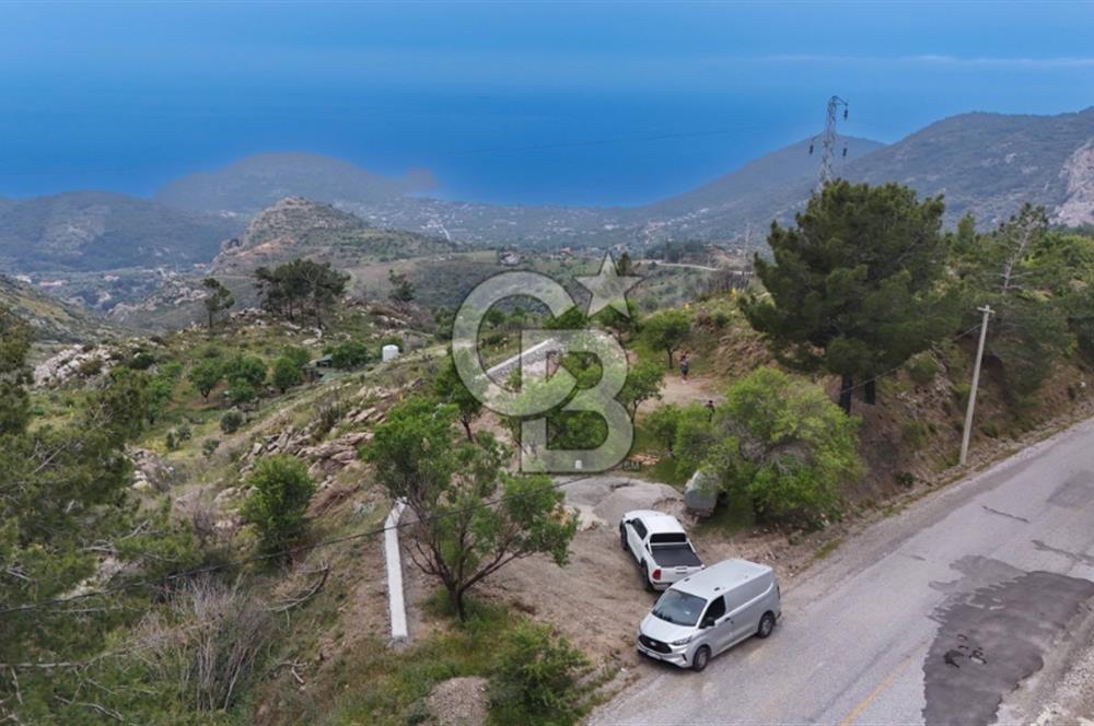 Datça Mesudiyede Satılık 381 m2 Tarla