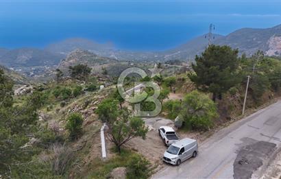 Datça Mesudiyede Satılık 381 m2 Tarla