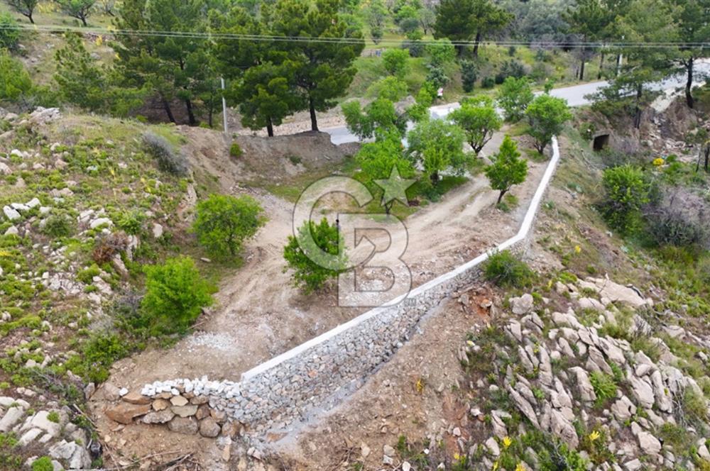 Datça Mesudiyede Satılık 381 m2 Tarla