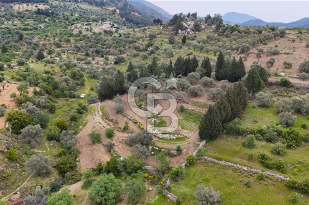 Datça Sındı Mahallesinde Satılık 4406 m2 Tarla