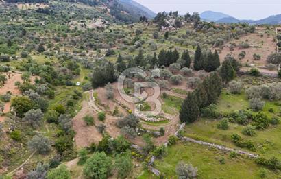 Datça Sındı Mahallesinde Satılık 4406 m2 Tarla