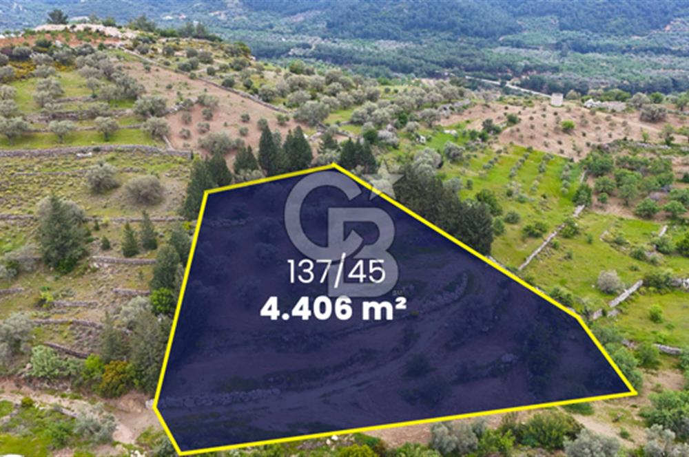 Datça Sındı Mahallesinde Satılık 4406 m2 Tarla