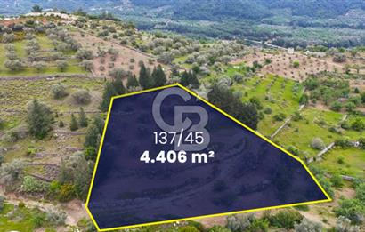 Datça Sındı Mahallesinde Satılık 4406 m2 Tarla