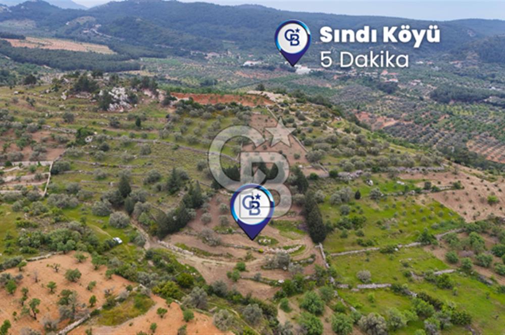 Datça Sındı Mahallesinde Satılık 4406 m2 Tarla