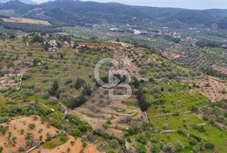 Datça Sındı Mahallesinde Satılık 4406 m2 Tarla