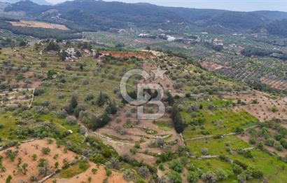 Datça Sındı Mahallesinde Satılık 4406 m2 Tarla