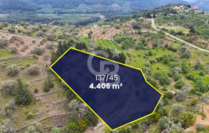 Datça Sındı Mahallesinde Satılık 4406 m2 Tarla