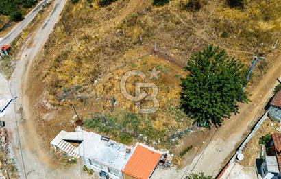 ÇANAKKALE BİGA CAMİALAN KÖYÜ SATILIK ARSA