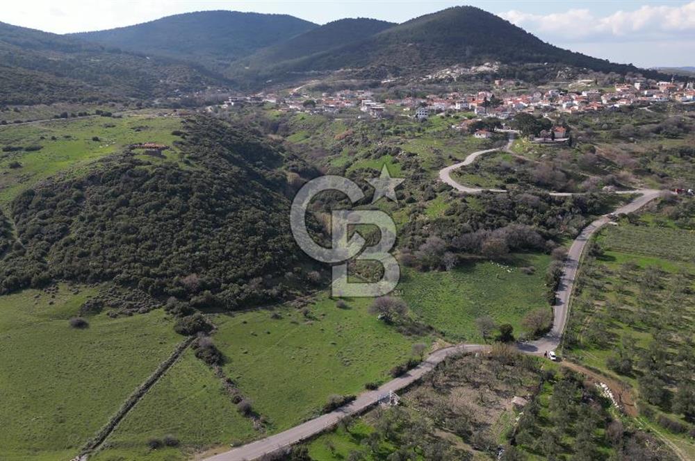 GÜZELHİSAR DA İMAR SINIRINDA 6.576M2 SATILIK TARLA