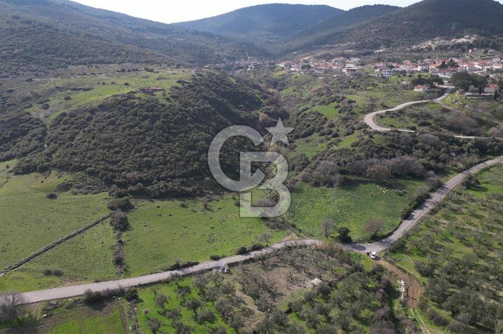 GÜZELHİSAR DA İMAR SINIRINDA 6.576M2 SATILIK TARLA