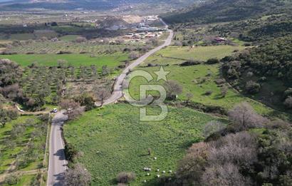 GÜZELHİSARDA İMARA SINIR 7085M2 SATILIK TARLA