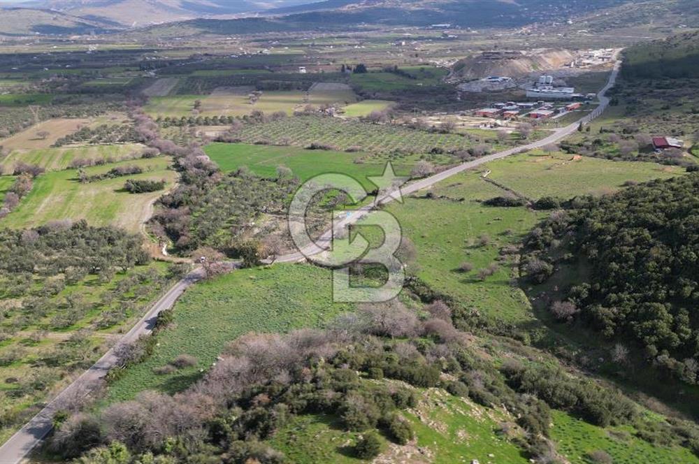 GÜZELHİSARDA İMARA SINIR 7085M2 SATILIK TARLA