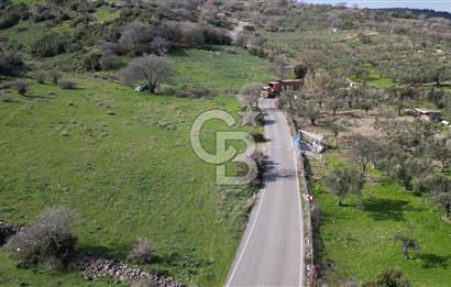 GÜZELHİSARDA İMARA SINIR 7085M2 SATILIK TARLA