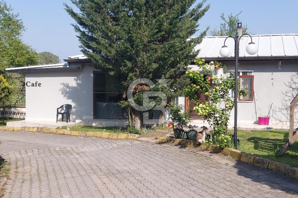 Gebze Pelitli Nilüfer Evleri'inde satılık villa.
