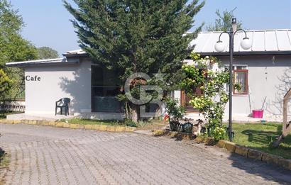 Gebze Pelitli Nilüfer Evleri'inde satılık villa.