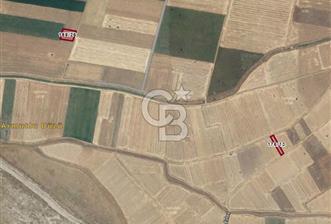 Tavas Pınarlar'da 955 M² Satılık Tarla