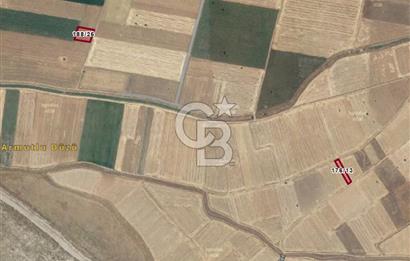 Tavas Pınarlar'da 955 M² Satılık Tarla