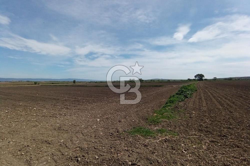ÇANAKKALE GELİBOLU BOLAYIR SATILIK 4400 M2 ARAZİ