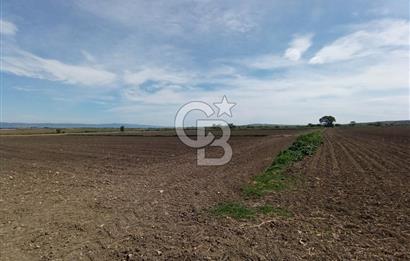 ÇANAKKALE GELİBOLU BOLAYIR SATILIK 4400 M2 ARAZİ