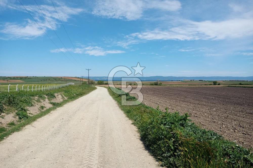 ÇANAKKALE GELİBOLU BOLAYIR SATILIK 4400 M2 ARAZİ