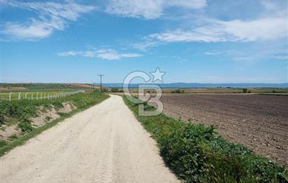 ÇANAKKALE GELİBOLU BOLAYIR SATILIK 4400 M2 ARAZİ