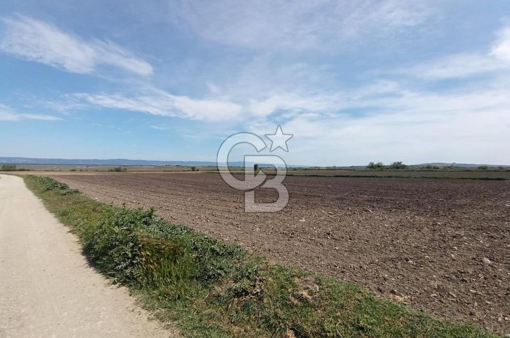 ÇANAKKALE GELİBOLU BOLAYIR SATILIK 4400 M2 ARAZİ