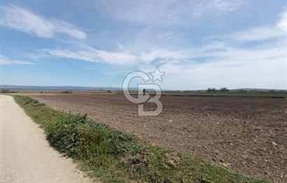 ÇANAKKALE GELİBOLU BOLAYIR SATILIK 4400 M2 ARAZİ
