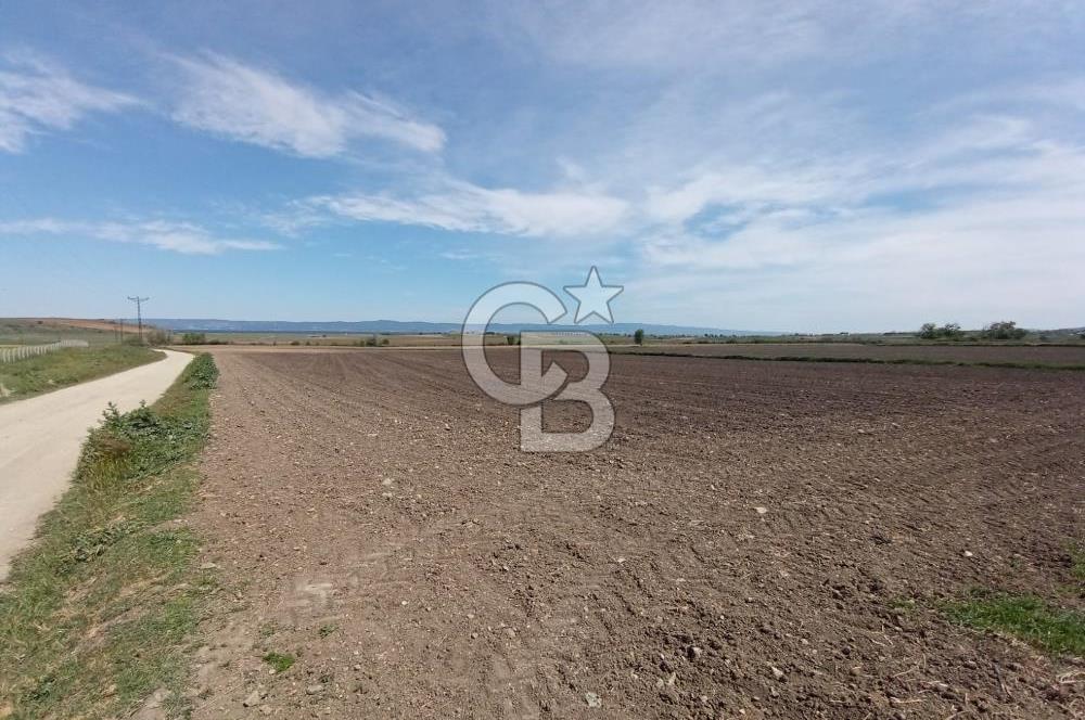 ÇANAKKALE GELİBOLU BOLAYIR SATILIK 4400 M2 ARAZİ