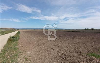 ÇANAKKALE GELİBOLU BOLAYIR SATILIK 4400 M2 ARAZİ