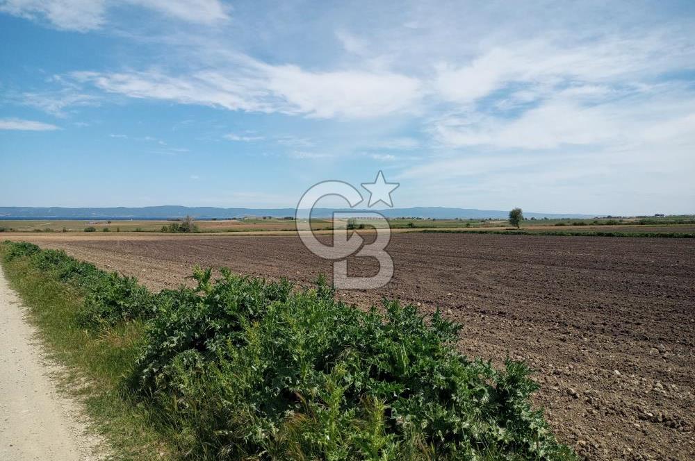 ÇANAKKALE GELİBOLU BOLAYIR SATILIK 4400 M2 ARAZİ