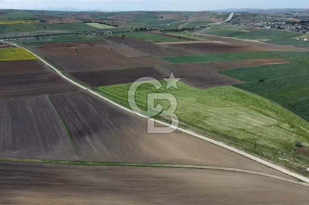 ÇANAKKALE GELİBOLU BOLAYIR SATILIK 4400 M2 ARAZİ