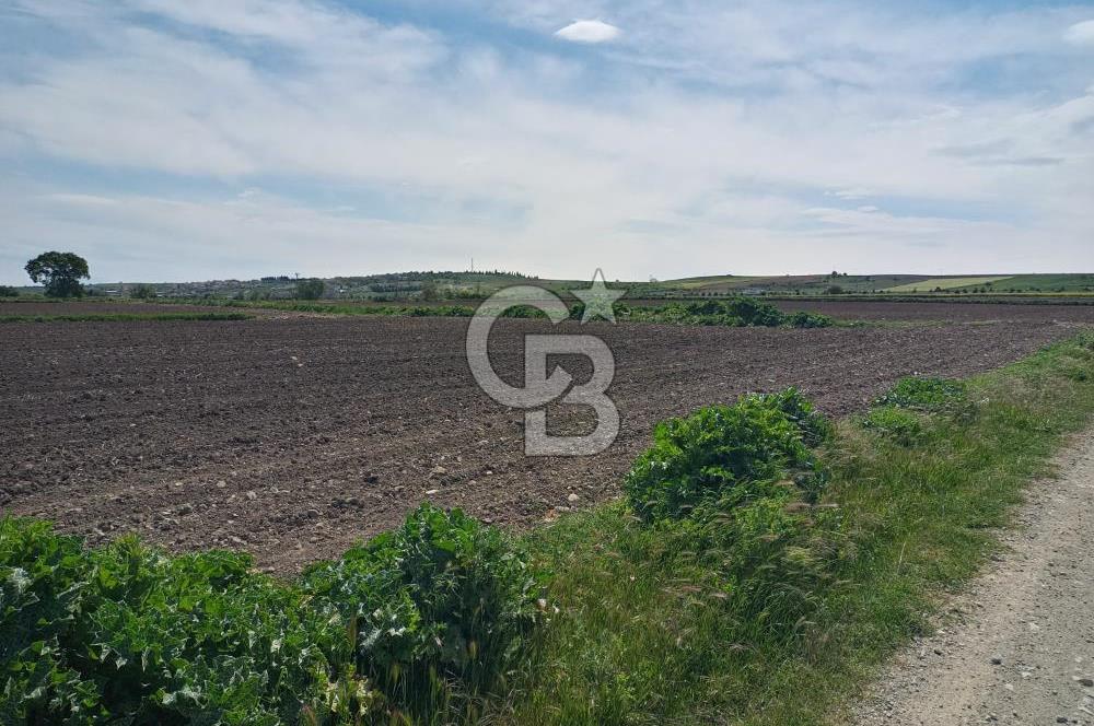 ÇANAKKALE GELİBOLU BOLAYIR SATILIK 4400 M2 ARAZİ