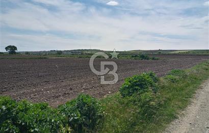 ÇANAKKALE GELİBOLU BOLAYIR SATILIK 4400 M2 ARAZİ