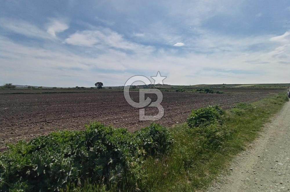 ÇANAKKALE GELİBOLU BOLAYIR SATILIK 4400 M2 ARAZİ