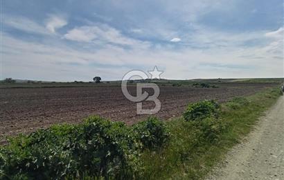 ÇANAKKALE GELİBOLU BOLAYIR SATILIK 4400 M2 ARAZİ
