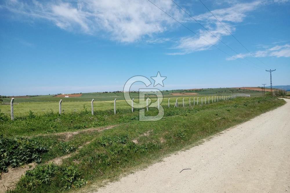 ÇANAKKALE GELİBOLU BOLAYIR SATILIK 4400 M2 ARAZİ