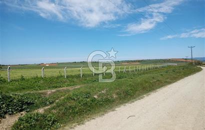 ÇANAKKALE GELİBOLU BOLAYIR SATILIK 4400 M2 ARAZİ