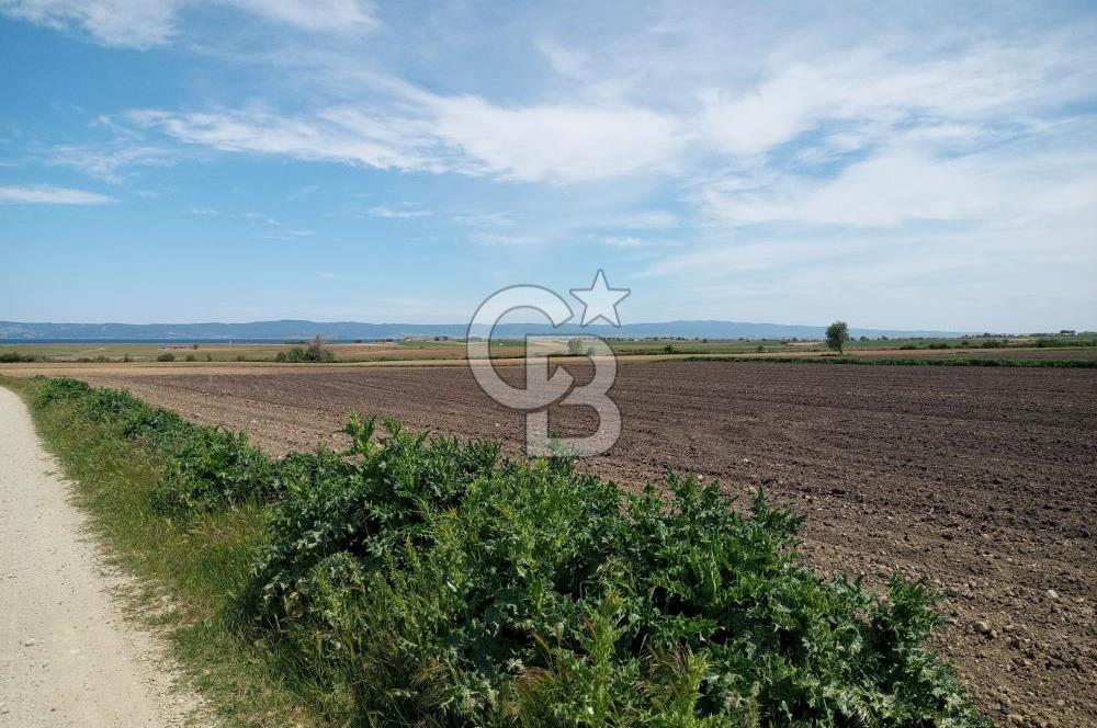 ÇANAKKALE GELİBOLU BOLAYIR SATILIK 4400 M2 ARAZİ