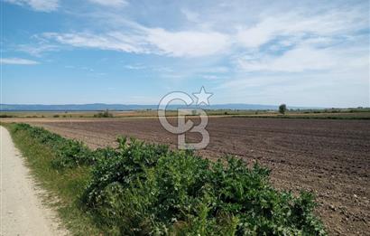 ÇANAKKALE GELİBOLU BOLAYIR SATILIK 4400 M2 ARAZİ