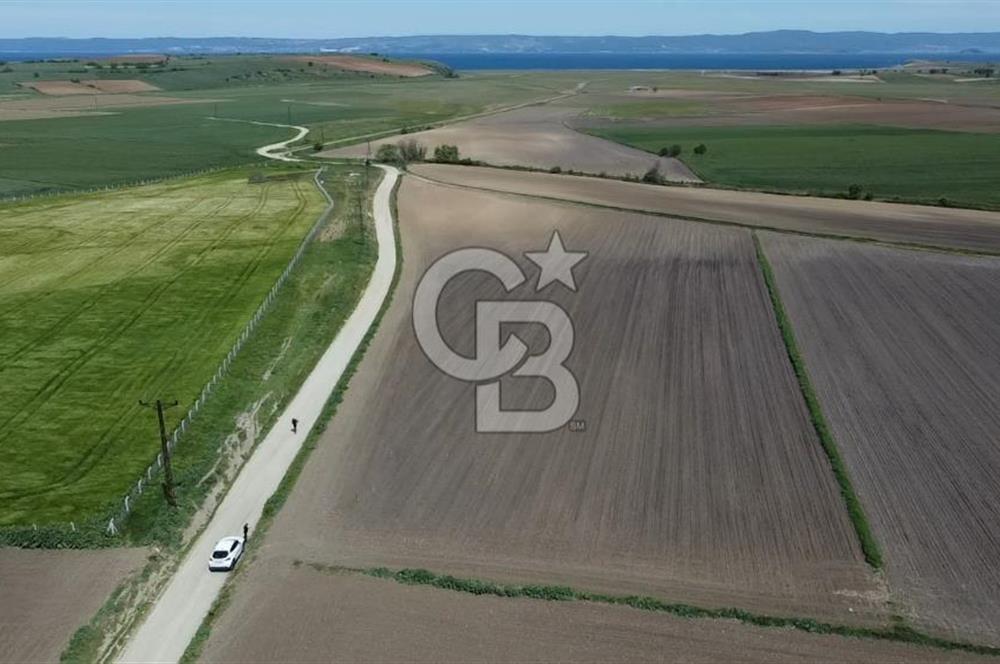 ÇANAKKALE GELİBOLU BOLAYIR SATILIK 4400 M2 ARAZİ