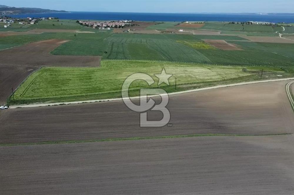 ÇANAKKALE GELİBOLU BOLAYIR SATILIK 4400 M2 ARAZİ