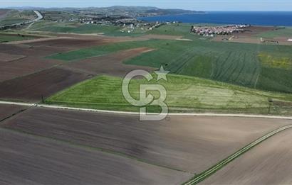 ÇANAKKALE GELİBOLU BOLAYIR SATILIK 4400 M2 ARAZİ