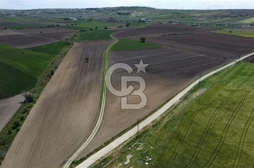 ÇANAKKALE GELİBOLU BOLAYIR SATILIK 4400 M2 ARAZİ