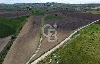 ÇANAKKALE GELİBOLU BOLAYIR SATILIK 4400 M2 ARAZİ