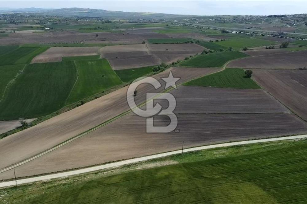 ÇANAKKALE GELİBOLU BOLAYIR SATILIK 4400 M2 ARAZİ