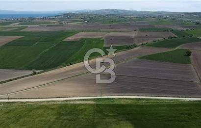 ÇANAKKALE GELİBOLU BOLAYIR SATILIK 4400 M2 ARAZİ