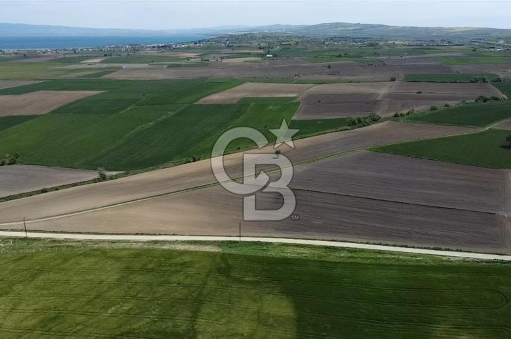ÇANAKKALE GELİBOLU BOLAYIR SATILIK 4400 M2 ARAZİ