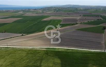 ÇANAKKALE GELİBOLU BOLAYIR SATILIK 4400 M2 ARAZİ