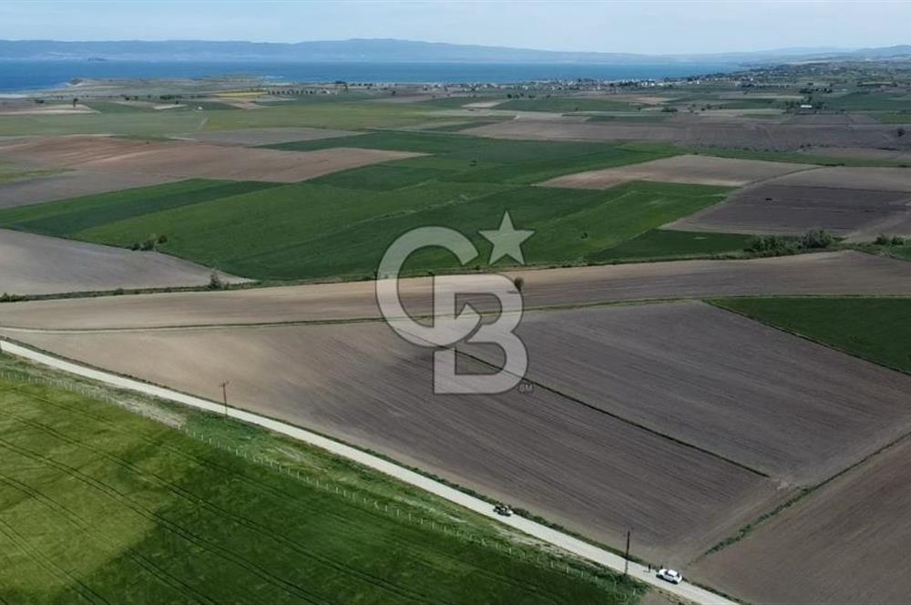 ÇANAKKALE GELİBOLU BOLAYIR SATILIK 4400 M2 ARAZİ